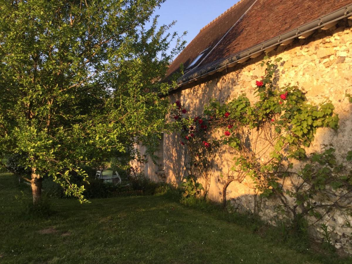 Chambres D'Hotes La Ferme Du Grand Launay Semblancay Exterior photo