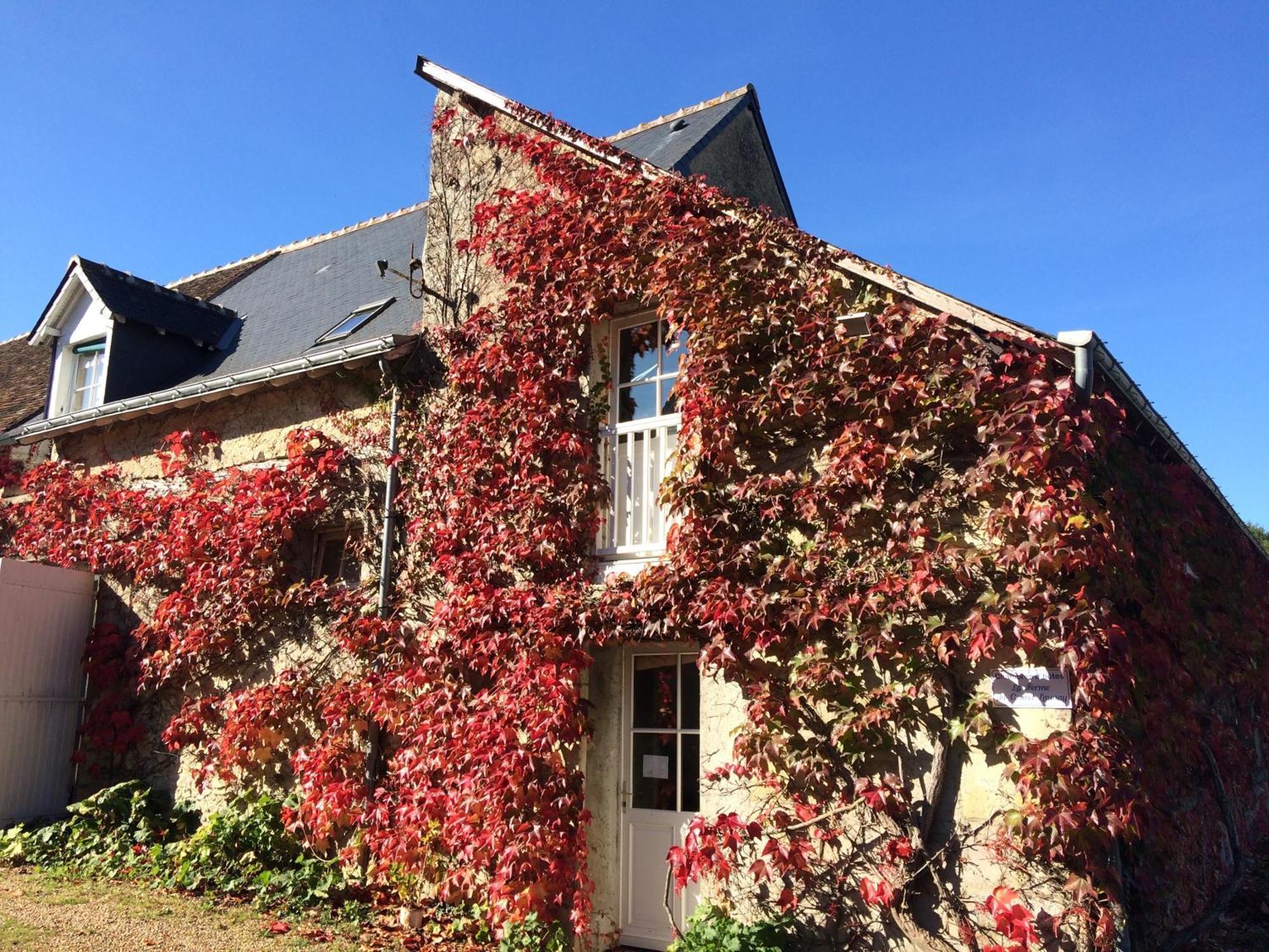 Chambres D'Hotes La Ferme Du Grand Launay Semblancay Exterior photo